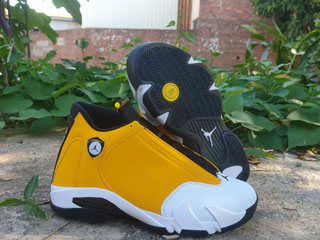 Air Jordan 14 Retro-18