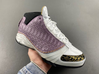 Air Jordan 23 Retro