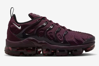 Air Max TN Plus Men Shoes