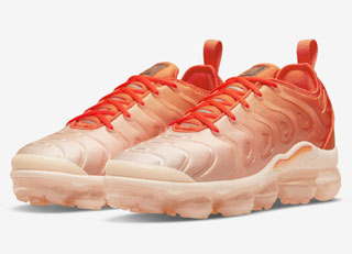 Air Max TN Plus Men Shoes