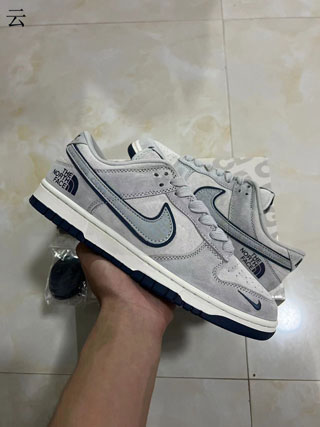 Nike Dunk Low Men Shoes