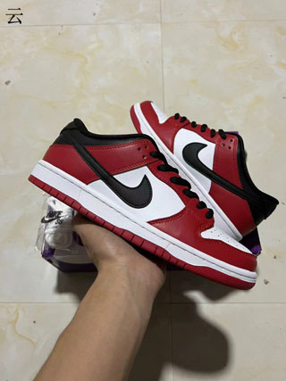 Nike Dunk Low Men Shoes