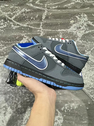 Nike Dunk Low Men Shoes