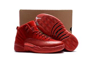 Authentic Air Jordan 12 Retro-102