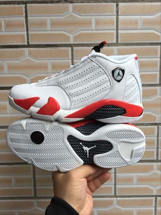 Air Jordan 14 Retro-22